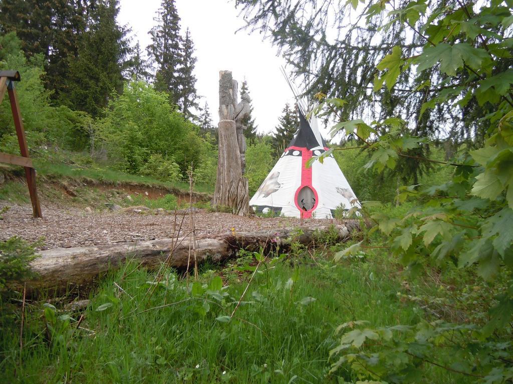 Klosterweiherhof 2* Dachsberg im Schwarzwald